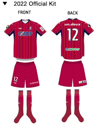 2020 Official Kit